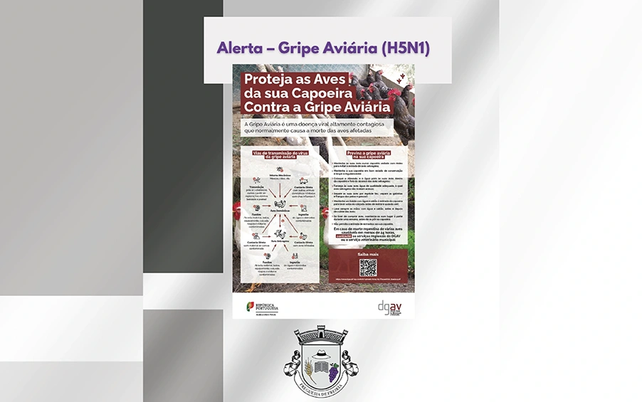 Alerta Gripe Aviária (H5N1)