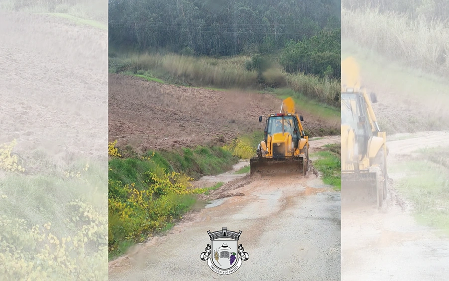 Limpezas das Vias Após a Tempestade Cláudia